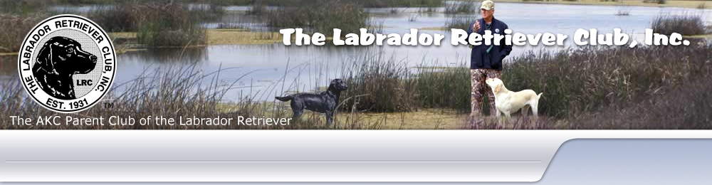 The Labrador Club